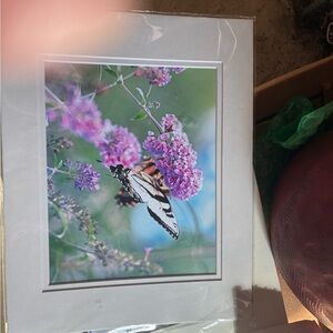 Butterfly and Flowers Framed Art